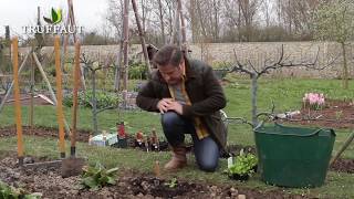 Calendrier du jardinier avril  que faire au jardin  Truffaut [upl. by Aneerak886]