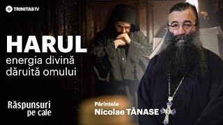 🔴 LIVE Harul energia divină dăruită omului  Părintele Nicolae TĂNASE RăspunsuriPeCale [upl. by Yekcaj]