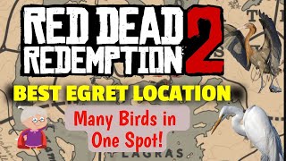 BEST EGRET LOCATION MANY BIRDS Reddish Egret Snowy Egret amp Little Egret  RDR2 [upl. by Ahsinuq]