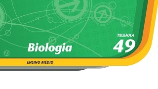 49  Bactérias operárias  Biologia  Ens Médio  Telecurso [upl. by Llerrod]