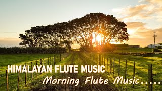 Morning Flute Music  Himalayan Flute Music  Meditation Music  बाँसुरी Aparmita Ep 44 [upl. by Kcam]