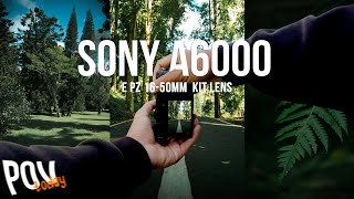 Sony A6000 with kit lens Test  E PZ 1650mm f 3556 OSS Test  POV  2022 [upl. by Trebo]