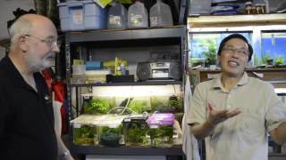 Jim quotThe Notho Guyquot Killifish Fish Room Tour [upl. by Brianna]