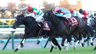 CHEVALIER ROSE wins the G2 Sports Nippon Sho Stayers Stakes [upl. by Anaiuq]