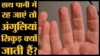 आपकी अंगुली सिकुड़ गई है तो भी डरने की जरूरत है नहीं l The Lallantop। Finger wrinkle [upl. by Eeimaj]