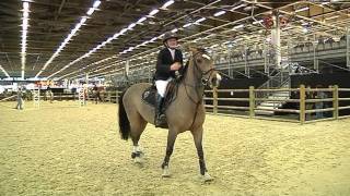 Le Salon du cheval met les jeunes cavaliers à lhonneur [upl. by Gherlein]