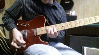 Fralin Blues Special Tele pickups [upl. by Therron]