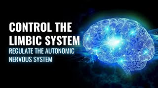 Control The Limbic System  Regulate The Autonomic Nervous System  528 Hz Isochronic Tones [upl. by Lannie]