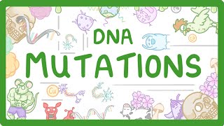 GCSE Biology  What are DNA Mutations 67 [upl. by Beller44]