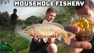 Autumn Carp Fishing at Mousehole Fishery Battling Weather amp Reeling in Success [upl. by Janos]