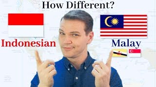 How Different Are Indonesian and Malay [upl. by Gnivri]