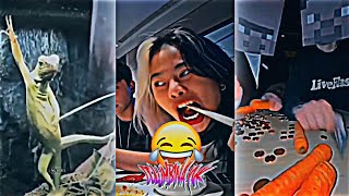 BEST MEMES EDITS TIKTOK MEMES FUNNY MOMMENT [upl. by Isaak475]