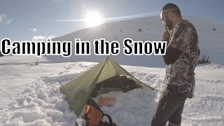 Winter Camping  Tarp bivy and dog [upl. by Llemij]