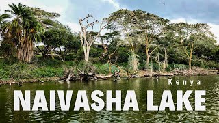 Scenic Wonders of Lake Naivasha Kenya [upl. by Ghiselin809]