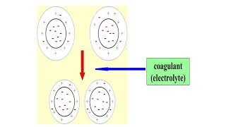 COAGULATION AND FLOCCULATION PROCESSES IN WATER TREATMENT [upl. by Aoniak]