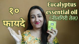 10 BENEFITS OF EUCALYPTUS OILनीलगिरी तेल For Hair Health amp Skin Speaking tree Essential oils [upl. by Croix]