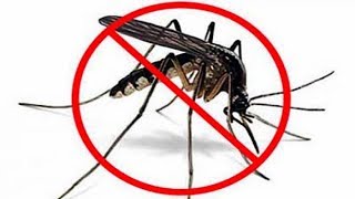 Doğal Sivrisinek Kovucu Yapımı ve Kullanım Şekli Stop Mosquito [upl. by Colene]