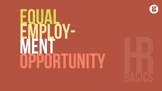 HR Basics Equal Employment Opportunity [upl. by Bega]