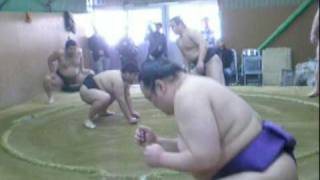 Sumo practice 2 [upl. by Jacques990]