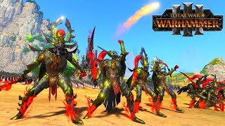 Dark Elves VS Beastmen  Total War WARHAMMER 3  FIRESupport  Firework Show  4K [upl. by Ynneh620]