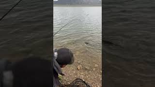 Here Is Seven Fishing At 11 Mile Reservoir In Lake George Colorado Beautiful Place fishing fun [upl. by Zeralda]