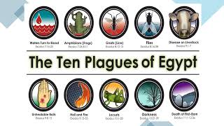 The 10 Plagues Song with Lyrics [upl. by Mcmullan]