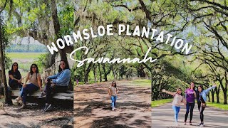 WORMSLOE PLANTATION SAVANNAH GEORGIA savannah [upl. by Ynaffad301]