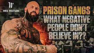 What Negative People Don’t Believe In Prison Gangs [upl. by Sucramal]