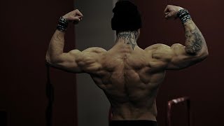 BACK amp BETTER  Powerful Training Update [upl. by Moffit301]