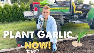 How to Plant GARLIC in the FALL 🧄 🍂 with Wyse Guide [upl. by Ennylyak]