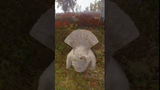 CAPERCAILLIE  BEST BIRDS IN thehuntercallofthewild  ATTACKED BY A GOLD LEUCISTIC cotw [upl. by Hoxie]