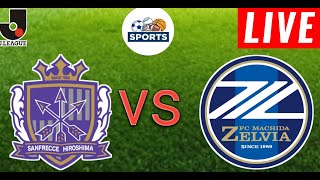 Sanfrecce Hiroshima vs Machida Live Score l Japan J1 League 2024 [upl. by Alethia]