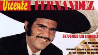 Vicente Fernandez De Que Tamaño Me Quieres [upl. by Akienat]