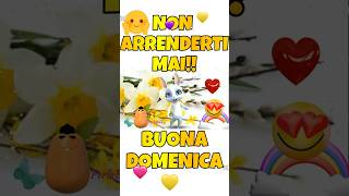 Buongiorno e buona Domenica 🥰 Non arrenderti mai 😄 buongiorno shorts viralvideo perlabianca [upl. by Pierrette]