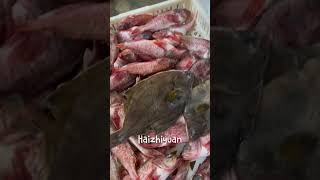 Fish scale removal machine fishing seafoodprocessing fish seafood food equipment [upl. by Brout]