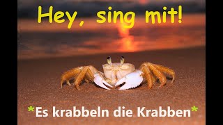 🎵🤍🦀🦀🦀🏖️🌞👀quotEs krabbeln die Krabbenquot  Kinder u Volkslieder  Liedtext Notenlink ↓InfoBoxquot [upl. by Elok]