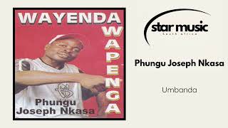 Phungu Joseph Nkasa  Wayende Wapenga  Official Audio [upl. by Brose]