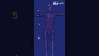 INICET MDS NOV24  Most Important Topics of Anatomy  DBMCI MDS [upl. by Aicilaf]