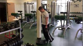 Single Leg Calf Raise on Plate [upl. by Ryder]