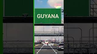 Guyanas Unique TAXI  guyana berbice [upl. by Dyoll621]