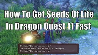 Life Seed Farming Guide Dragon Quest 11  How To Get Seeds Of Life Fast [upl. by Alehs]