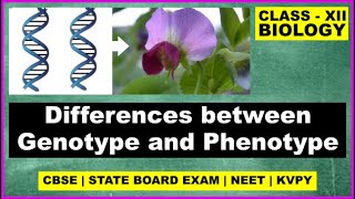 Write the differences between genotype and phenotype  Class 12 Biology [upl. by Killigrew501]