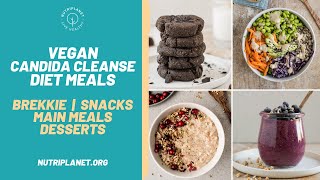 Vegan Candida Cleanse Diet Recipes and Meals for a Day [upl. by Rimola]