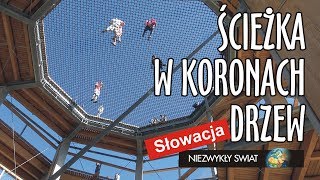 Niezwykly Swiat  Słowacja  Ścieżka w koronach drzew [upl. by Auqinet]