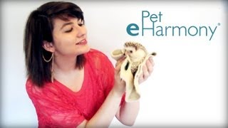 Pet eHarmony [upl. by Amato199]