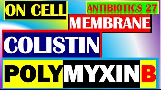 Colistin Polymyxin B Antibiotics Pharmacology Mechanisms Actions Resistance Part 27 [upl. by Anar342]