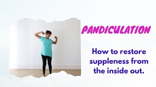 Pandiculation Heal from the inside out [upl. by Hegyera768]