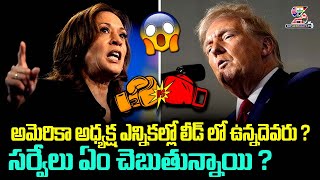 Which Side American Voters in Presidential Polls  US Elections 2024  Donald Trump  Kamala Harris [upl. by Berglund]