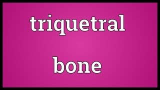 Triquetral bone Meaning [upl. by Ecinuahs145]