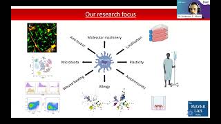 Tissuespecific differences and specialized dendritic cell subpopulations induced by type 2 immunity [upl. by Revlys]